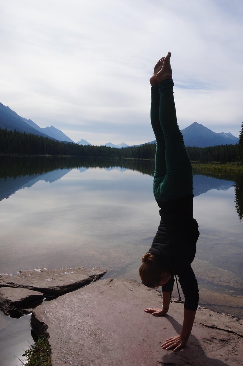 Wellness Activities